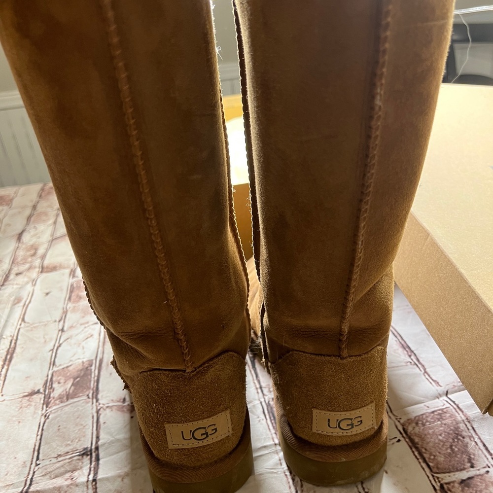 Tall Chestnut Uggs.